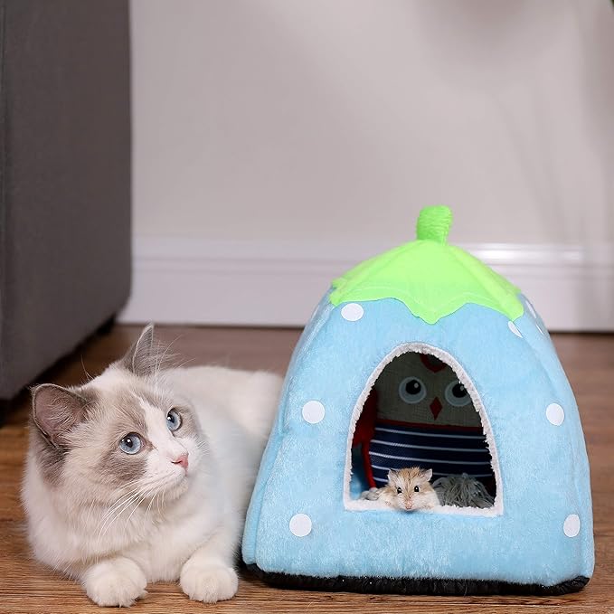 Spring Fever Hamster Guinea Pig Rabbit Dog Cat Chinchilla Hedgehog Bird Small Animal Pet Bed House Hideout Cage Accessorie A Blue S (12.2 * 12.2 inch)