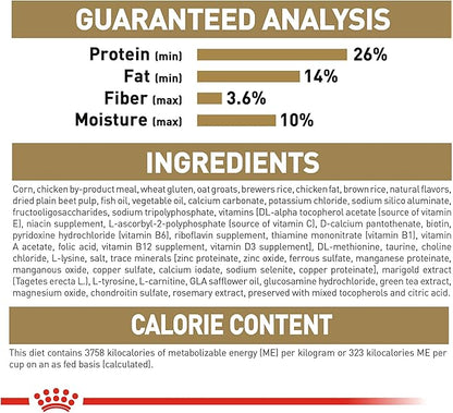 Royal Canin Chihuahua Adult Dry Dog Food, 10 lb bag