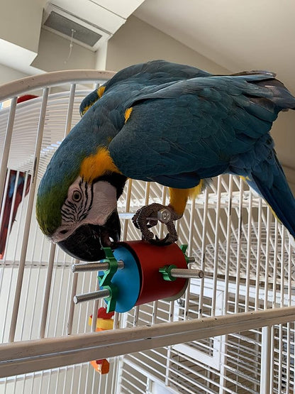 Barrel Bird Foraging Toy | Interactive Treat Dispenser | Promotes Natural Foraging Behavior | Bird Cage Accessories for Medium to Extra Large Birds | Colorful Toys for Parrots, Cockatiel, Cockatoos