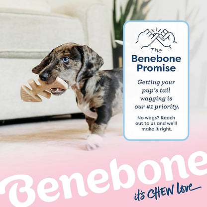 Benebone Puppy Fishbone Dog Chew Toys, Softer for Modest Chewers, Made in USA