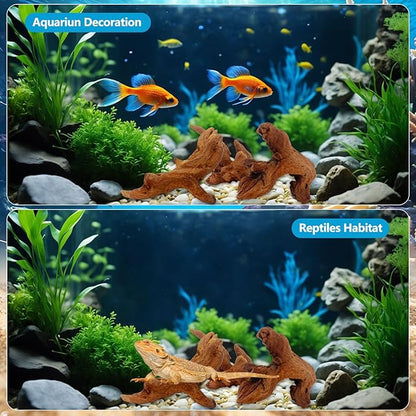 10 Pcs Natural Small Driftwood for Aquarium, Aquarium Driftwood Freshwater 2-4 Inch, Assorted Size Mopani Wood, Twisted Branches for Fishtank Accessories, Reptile Terrariums Decorations