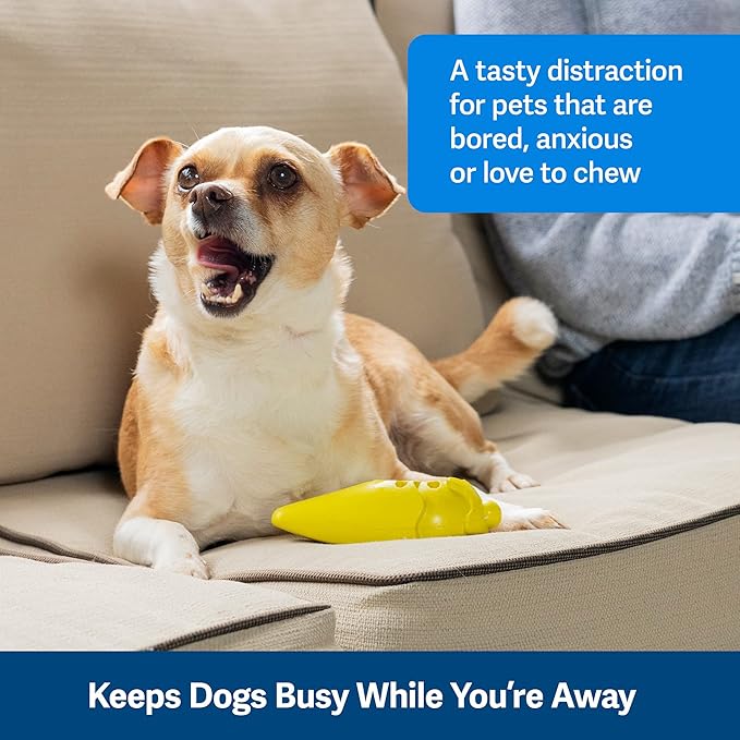 PetSafe Frosty Cone Dog Toys  Fill and Freeze Treat Holding Chew Toy  BPA Free Rubber  French Vanilla Scented  Interactive Pet Puzzle for Boredom or Separation Anxiety