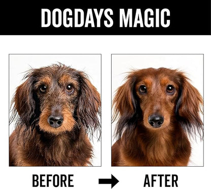 Pride and Groom DogDays No Rinse Quick Cleaning Shampoo | Waterless Foaming Dry Shampoo for Dogs & Cats | Odor-Eliminating, Hypoallergenic Pet Cleanser | 8 fl oz | Made in USA