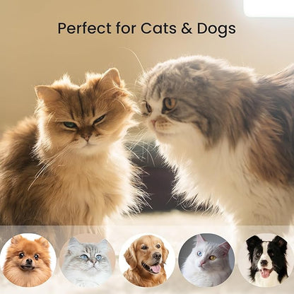 PawRake, Cat and Dog Brush for Shedding and Undercoat Dematting, Pet Grooming Tool for Medium to Long Hair Pets, Skin-Safe and Lightweight