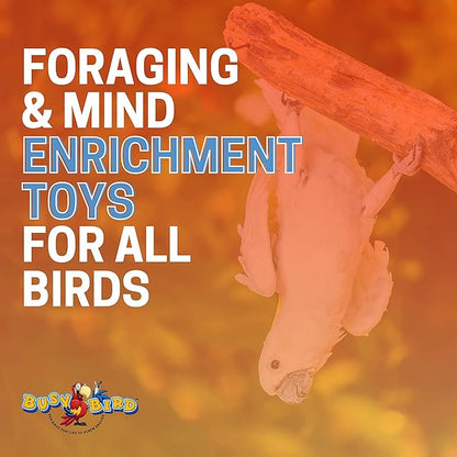 Busy Box Bird Foraging Toy | Interactive Treat Dispenser | Promotes Natural Foraging Behavior | Bird Cage Accessories for Medium to Extra Large Birds | Colorful Toys for Parrots, Cockatiel, Cockatoos