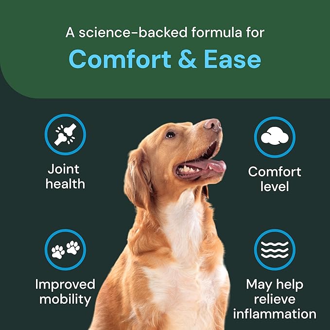 VETRISCIENCE Max Veterinary Strength Comfort & Ease Chews - Dog Comfort & Mobility Supplement for Canine Joint Relief - Clinically Proven Ingredients - Chicken Flavor - 60 Count