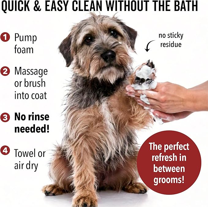 Pride and Groom DogDays No Rinse Quick Cleaning Shampoo | Waterless Foaming Dry Shampoo for Dogs & Cats | Odor-Eliminating, Hypoallergenic Pet Cleanser | 8 fl oz | Made in USA