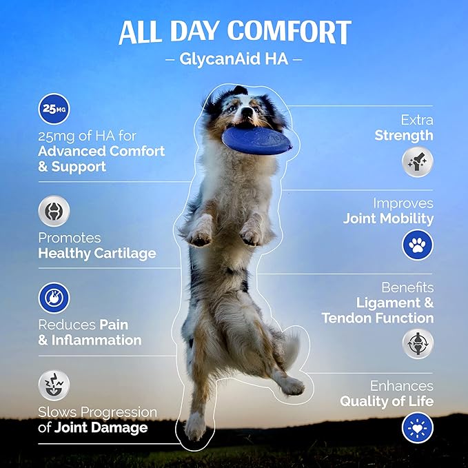 TopDog Health GlycanAid HA Advanced Joint Nutrition for Dogs (60 Chewable Tablets) Made in USA with USA Ingredients: Glucosamine HCL, Chondroitin, Hyaluronic Acid, MSM
