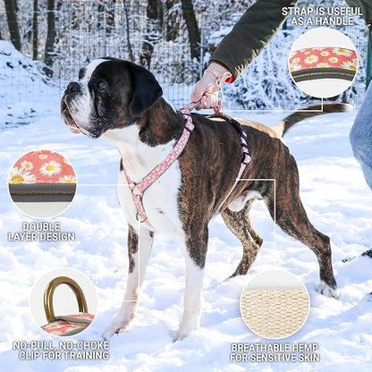 Pettsie No-Pull Dog Harness Reflective, 4 Adjustable Straps, Easy Control with 2 Leash Clips for Walking or Training, Matching Friendship Bracelet, Soft and Durable Hemp for Sensitive Skin, Gift Box