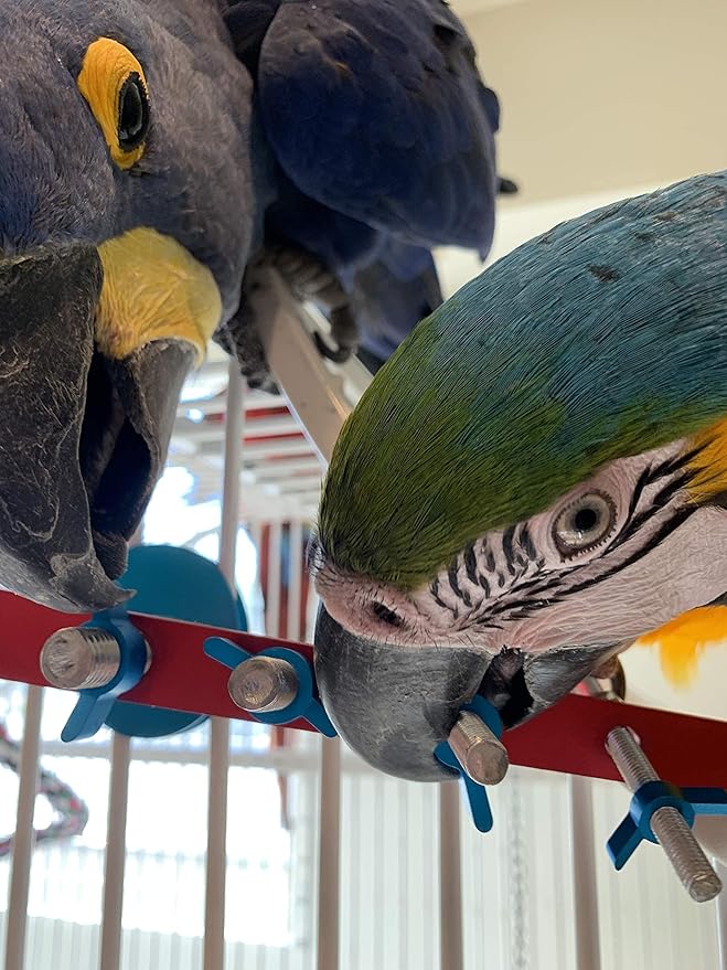 Strip Bird Foraging Toy | Non-Removable Wing Nuts | Durable Puzzle Enrichment Toy | Mind Game | Bird Cage Accessories for Medium to Large Birds Like Cockatoos, Parrots, Macaws, Greys, Parakeets