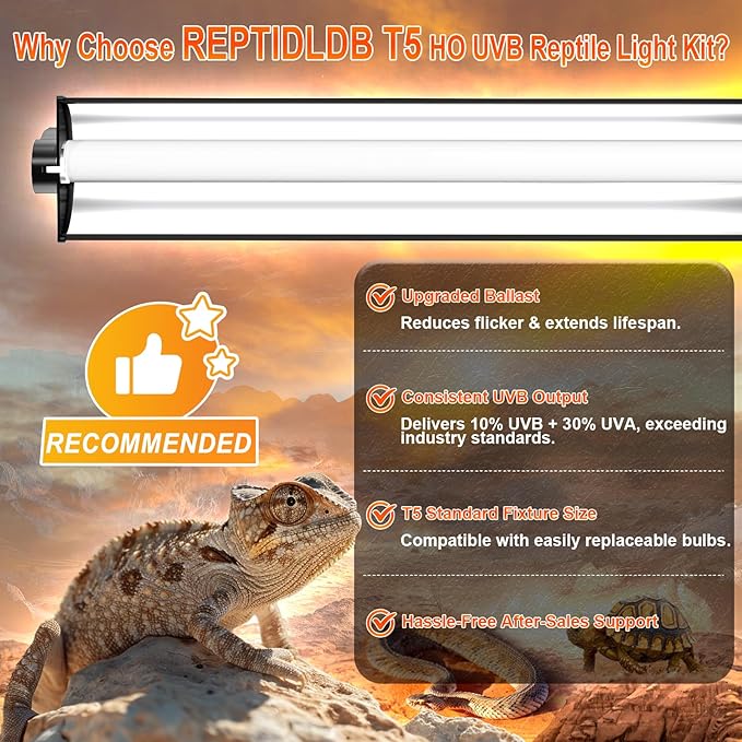 24W T5 UVB Reptile Light Fixture Combo Kit – 10.0 UVB Fluorescent Tube for Bearded Dragons, Lizards & Tortoises – UVA UVB Reptile Light, 22" Terrarium Hood (UVB 10.0-Desert, 22INCH-24W)