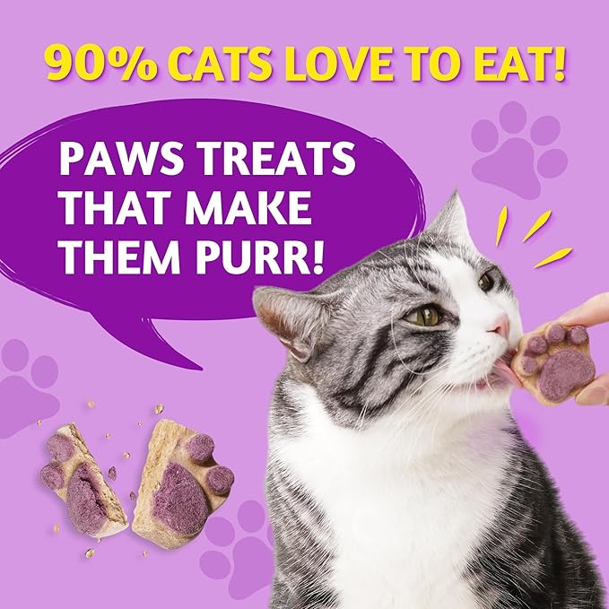 Just Try 6.35 oz Freeze Dried Cat Paw Treats Healthy Dog Training Treats High Protein Chicken Cat Snacks Low Calorie Pumpkin Treats Supports Immunity & Gut Healthy