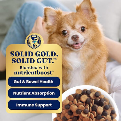 Solid Gold Toy & Small Breed Dog Food Dry Small Bites  Real Bison & Healthy Whole Grain Dogfood  Potato Free, High Fiber Healthy Dog Kibble w/Probiotics for Gut Health  NutrientBoost  11 lb