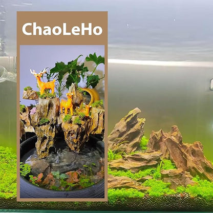 Dragon Rocks Aquariums Stones Natural Rocks for Aquascaping, Aquariums, Terrariums, Vivariums Decorative Stone,Reptile Enclosures,Paludariums,and Gardens-10LBï¼2 to 7 inchï¼