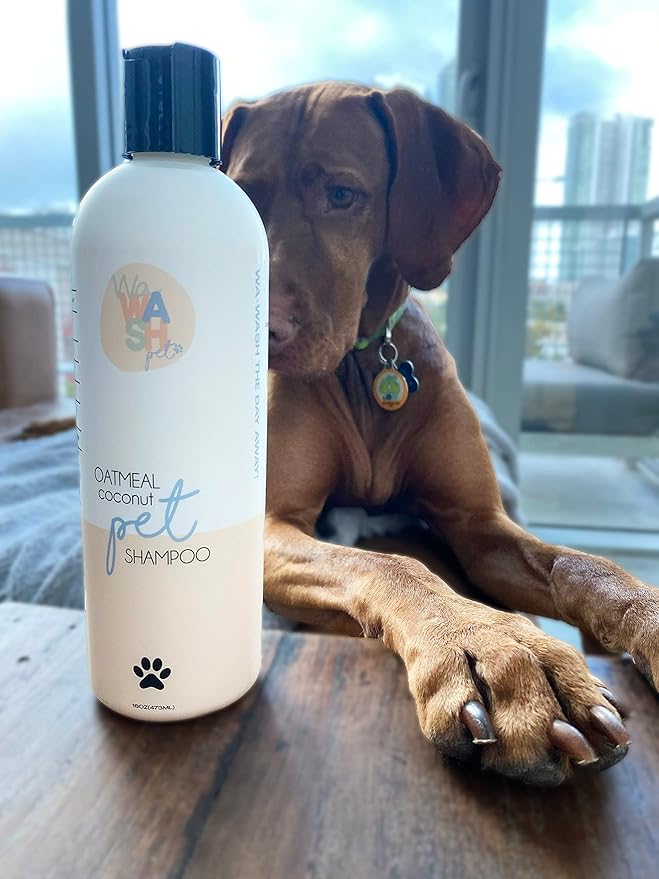 Oatmeal & Coconut Dog Shampoo, Natural Dog Shampoo for Itchy & Dry Skin Relief. 16 Fl. Oz