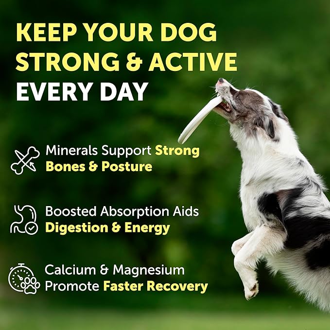 Nature's Protection Dog Joint Supplement - Mineral Powder Supplement for Pet Muscle Recovery, Stronger Bones, Immune & Gut Health for Dogs & Cats of All Breeds, 9 Oz