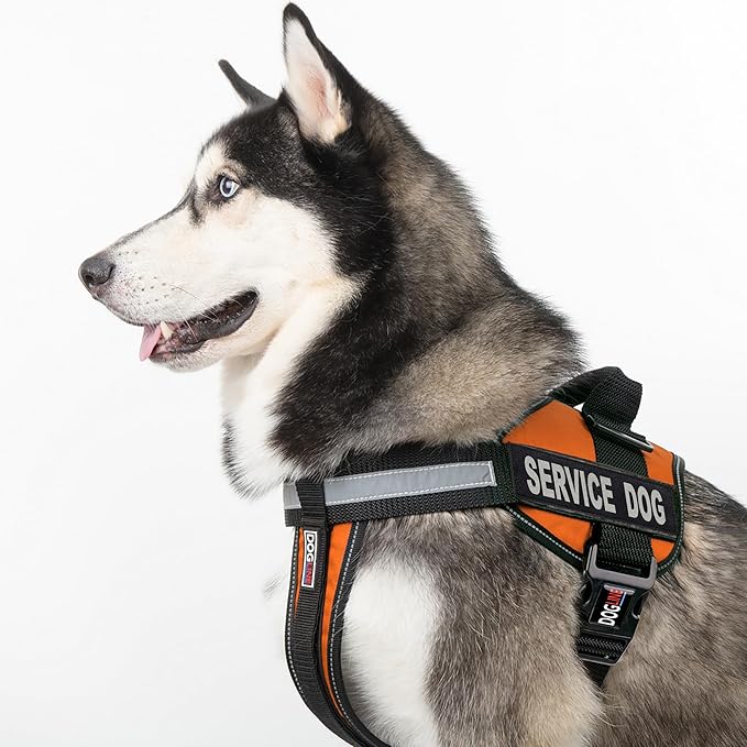 Dogline Unimax Service Dog Harness Vest with Removable Service Dog Patches Adjustable Straps Breathable Neoprene for Medical Identification Training Dogs Girth 36 to 46 in Orange