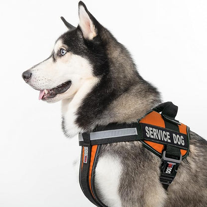 Dogline Unimax Service Dog Harness Vest with Removable Service Dog Patches Adjustable Straps Breathable Neoprene for Medical Identification Training Dogs Girth 15 to 19 in Orange