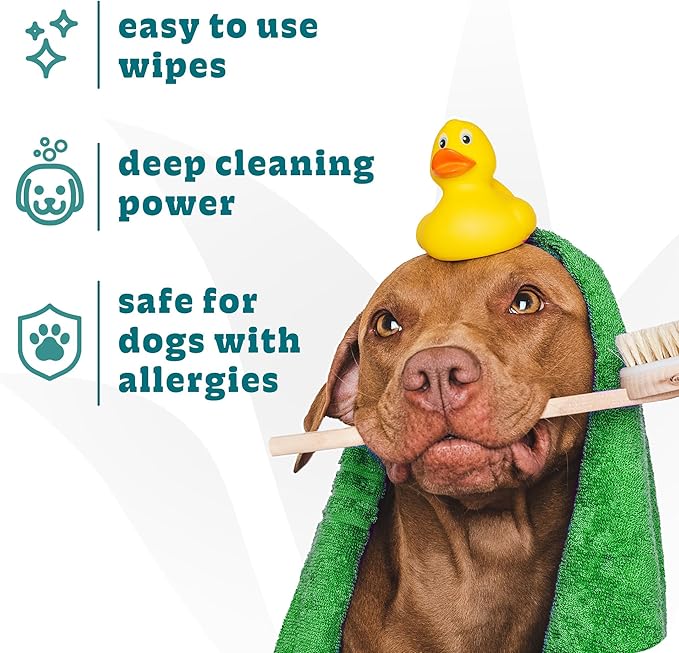 Espree Pet Hypoallergenic Aloe Wipes, Cleaning and Odor-Controlling Grooming Wipes for Paws, Cat Grooming, Dog Care, Perfect for Puppy and Adult Dogs, Fresh Baby Powder Scent, 50 Count