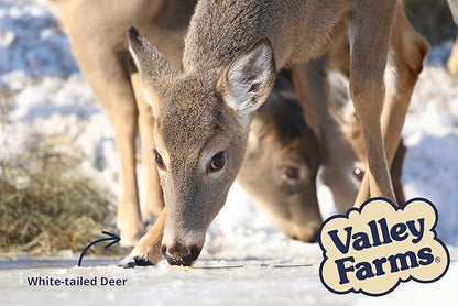 Valley Farms Squirrel & Wildlife Mix (4 LB) Wildlife Food and Wild Bird Food, Bird Seed for Squirrel Chipmunks & Deer, Peanuts, Black Oil Sunflower & Corn