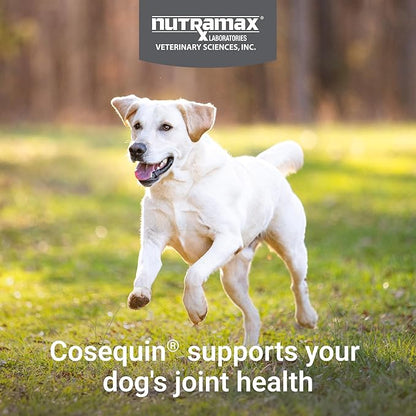 Nutramax Cosequin for Dogs Joint Health Supplement, Contains Glucosamine for Dogs, Plus Chondroitin, MSM and HA, Supports Healthy Joints, Chewable Tablets, 75 Count