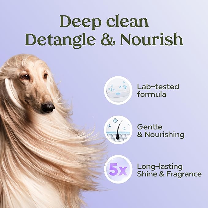 PAWFUME Dog Shedding Shampoo and Conditioner, Royal Lavender, 4-Pack  Nourish & Detangle for Silky Soft Coat  Probiotic, Deep-Cleaning, pH-Balanced  Salon-Quality Shedding Shampoo for Dogs
