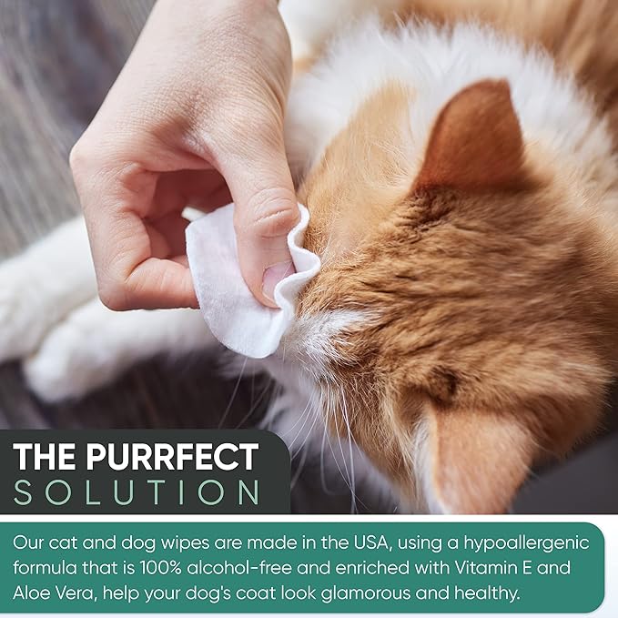 MAGICARE Dog Wipes for Paws, Butt, Ears & Eyes  100 Extra Wet & Thick Unscented Grooming Pet Wipes for Dogs & Cats  Deodorizing, Hypoallergenic  Made in USA