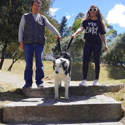 AGON Canine Dog Sling Carrier Support Back Legs Hip Knee Hock Joint Harness to Help Lift Dogs Rear Aid and Old K9 Cruciate (Small, Black)