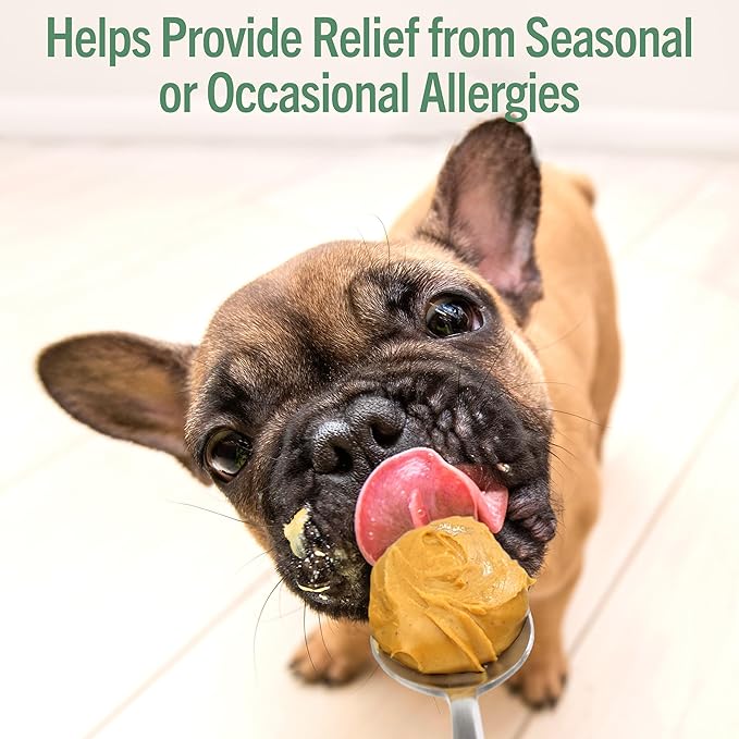 Dog Peanut Butter - Allergy Supplement for Dogs - Healthy Peanut Butter for Dogs Enriched with Dog Probiotics - Dog Allergy Relief & Immune Support Supplement - Allergy (8.46oz)