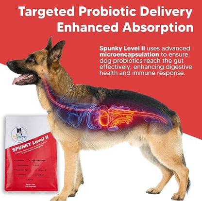 Spunky Level II Hip and Joint Supplement for Dogs, Glucosamine for Dogs with MSM, Dog Vitamins and Supplements Helps Digestion, Dog Joint Supplement - 1LB