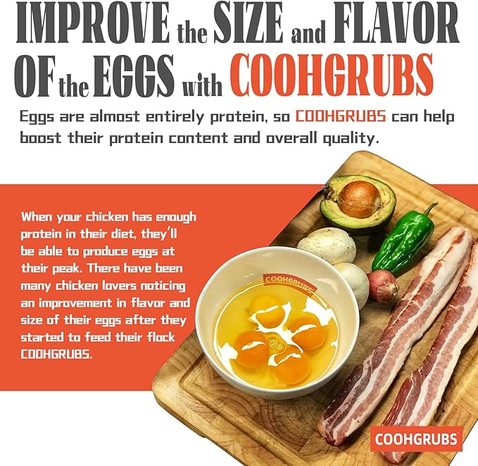 Dried Black Soldier Fly Larvae for Chickens 10 lb - All Natural High-Calcium Poultry Feed & Bird Treats