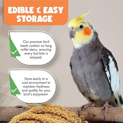 5LBS GMO-Free Sun Dried Spray Millet - Original Bird Treat Millet for Parakeets, Cockatiels, Finches & More - Non-GMO, High in Amino Acids, Easy Storage, Tasty & Healthy Bird Snacks (5 lbs)