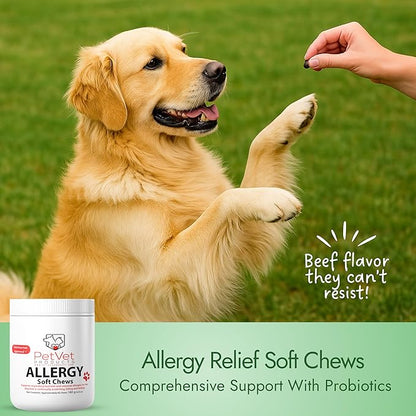 Pet Vet Allergy Relief Chews for Dogs (Beef Liver) – Itchy Skin Relief for Dog Allergies – Skin Irritation Treatment, Allergy Chews, Pet Probiotics – Dog Health