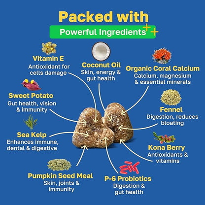 Happy Paws Probiotics for Dogs, Supplements for Gut, Skin, Coat & Immune Support for All Breeds & Ages, Made with Coconut Oil & Vitamin E, Vegan Chicken Flavor, Organic, Non GMO, 200 Soft Chews