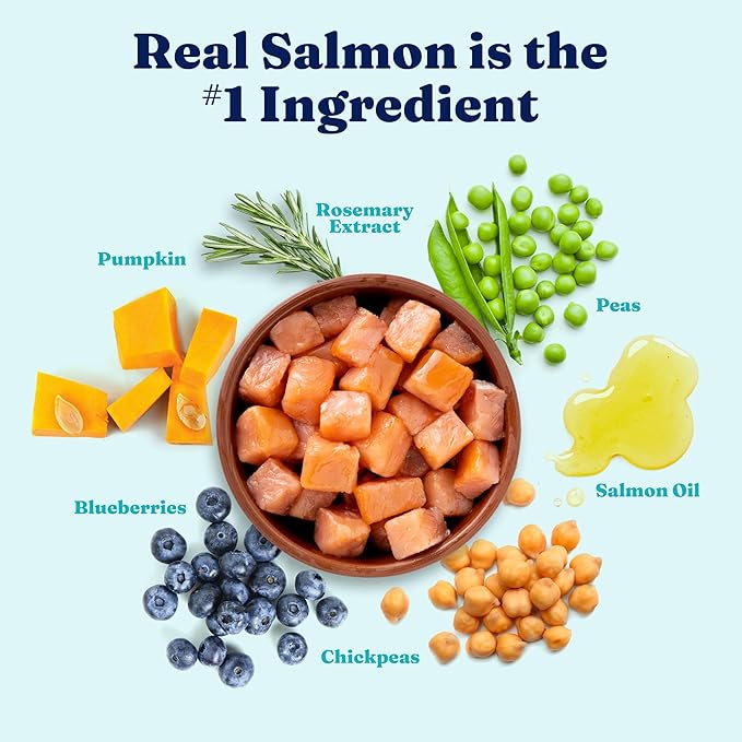 Solid Gold Salmon Dog Food for Sensitive Stomachs  Grain Free & Gluten Free Kibble w/Probiotics to Support Gut Health & Digestion - Sensitive Stomach Dog Food for All Ages  Nutrientboost  3.75 LB