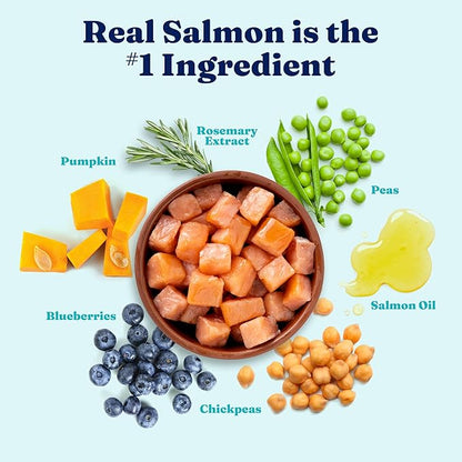 Solid Gold Salmon Dog Food for Sensitive Stomachs  Grain Free & Gluten Free Kibble w/Probiotics to Support Gut Health & Digestion - Sensitive Stomach Dog Food for All Ages  Nutrientboost  3.75 LB