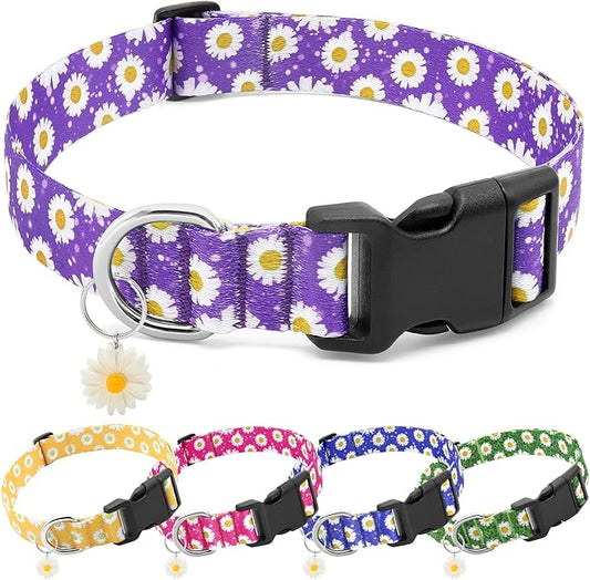 BiPawTi Purple Dog Collars - Cute Flower Collar for Small Dog with Daisies Charms, Pretty Floral Dogs Collar for Female Dogs Puppy Girls Boys Pet (S, Purple)