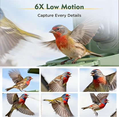 Bird Feeder with Camera, 4K UHD Video & 5G WiFi Live Stream, 32MP with AI Bird ID for 10,000+ Species, 2 Solar Powered, Birdhouse Camera for Outdoor Backyard Birdwatching Gift