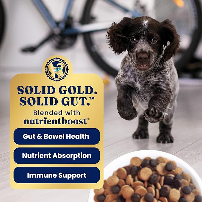 Solid Gold Chicken Dry Puppy Food - W/Real Chicken & Potato - Grain Free & Gluten Free Puppy Dog Food w/Probiotics for Gut Health & Digestion - Healthy Kibble for Puppies - Nutrientboost - 3.75 LB