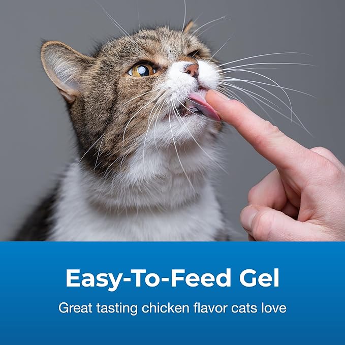 PetAg High Calorie Gel Supplement for Cats - 3.5 oz - Chicken Flavor - Provides Extra Calories for Cats 8 Weeks and Older - Easy to Digest