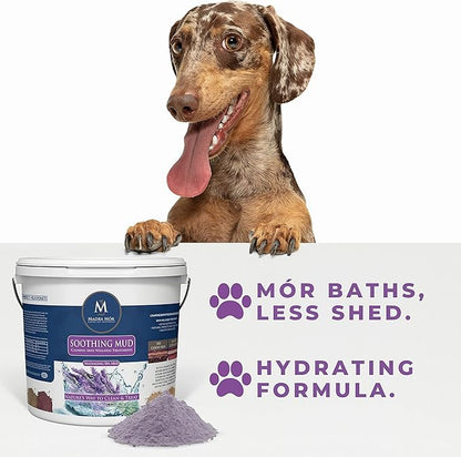 Madra Mor Soothing Dog Essentials Mud Bath | Dog Bath Dog Hot Spot Treatment for Dog Allergy & Dog Itch Relief | Dog Coat Skin Care Products | 7.5lb Pail w Worldwide Nutrition Multi Purpose Key Chain