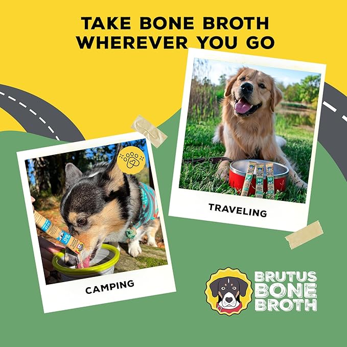 Brutus Bone Broth for Dogs - Bone Broth Powder with Chondroitin Glucosamine & Turmeric - Human Grade Dog Food Toppers for Dry Food & Picky Eaters - 10 Stick (Chicken)