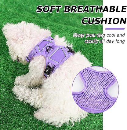 Dog Harness Small Sized Dog, No Pull Pet Harness with 2 Leash Clips, Adjustable Soft Padded Dog Vest Harnesses, Reflective No-Choke Pet Oxford Vest