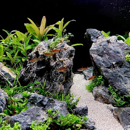 6-8 Inches Natural Seiryu Stone 6 PCS Aquarium Rocks for Aquascaping, Aquarium Landscaping, Terrariums, Fish Tank Decoration, Vivariums, Paludarium, Reptile and Amphibian Enclosures