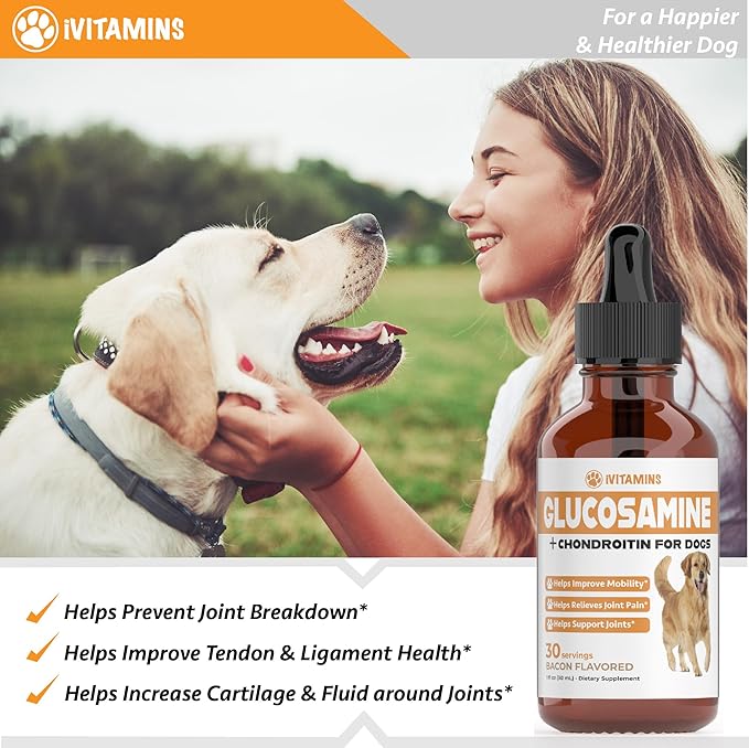 Glucosamine for Dogs | Supports Healthy HIPS, Joints, & More | Glucosamine for Dogs Hip and Joint Supplement | Dog Glucosamine | Dog Joint Supplement | Glucosamine Chondroitin for Dogs | 1 fl oz