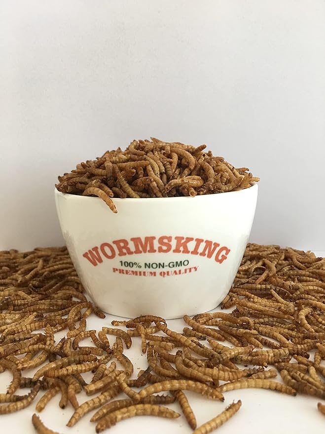 5LB Dried Black Soldier Fly Larvae, More Calcium Than Dried Mealworms, High Protein Chicken Feed,Duck Food, BSFL, Duck Treats