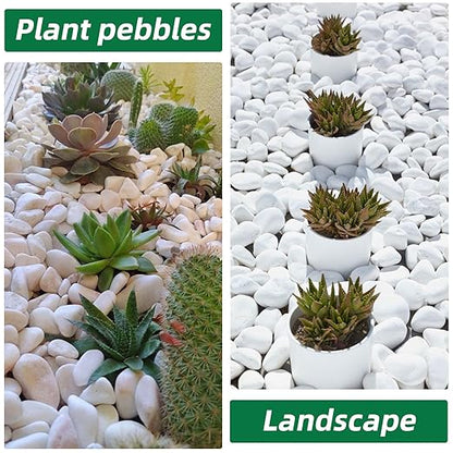 11 Lbs Natural River Rocks for Plants 0.3” Small Decorative Pebbles for Plant Pot Landscaping Garden Stones White Aquarium Gravel, Mini Vase Filler, Terrarium Rocks in Bulk, Home Decor