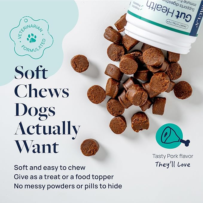 Veterinary Formula Gut Health Supplement for Dogs  Vet-Formulated Probiotic Chews with Digestive Enzymes & Fiber  Smart Vitality Supports Digestive Health, Gut Balance & Stool Quality, 60 Soft Chews