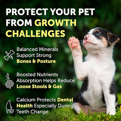 Nature's Protection Hip Joint Supplement for Dogs - Puppy Healthy Growth Mineral Supplements with Calcium for Development Support, Bone & Teeth Strength, Gut Health for Dogs & Cats of All Breeds, 9 Oz