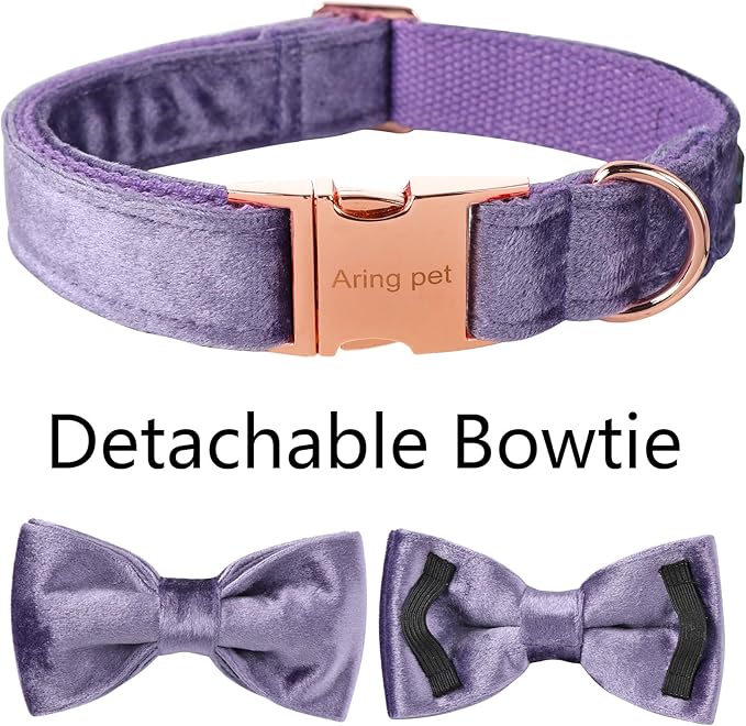 ARING PET Bowtie Dog Collar-Velvet Dog Collars with Removable Bowtie, Cute &Comfortable Purple Dog Collar,X-Small.